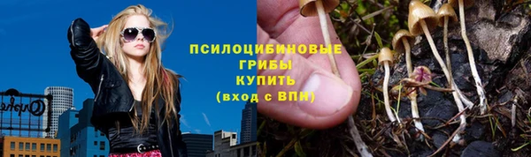 гидропоника Алексин