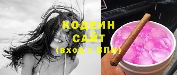 индика Армянск