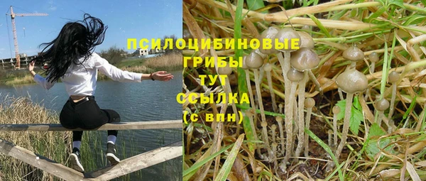 не бодяженный Алзамай