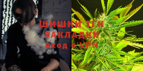 шишки Алексеевка