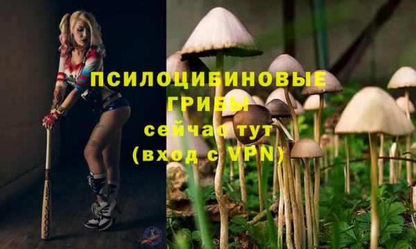 гидропоника Алексин